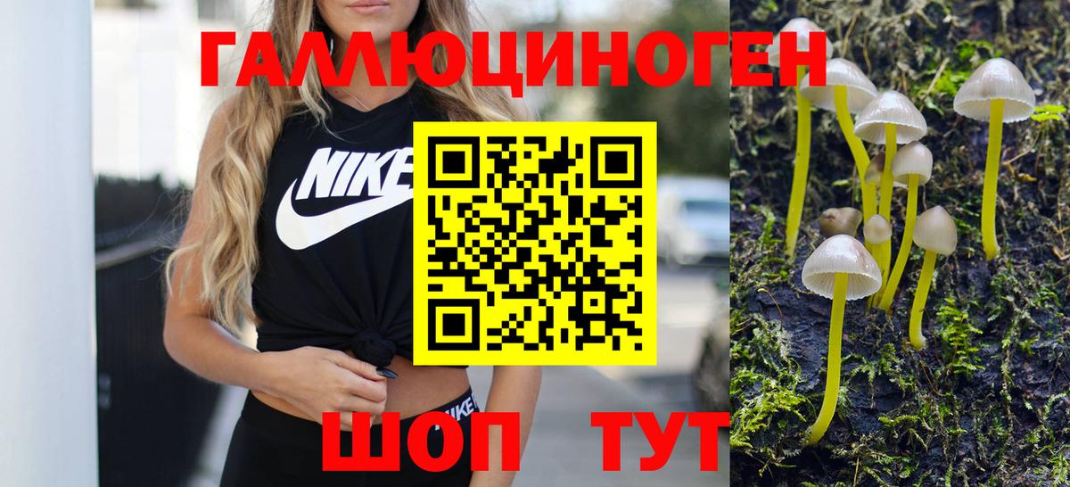 Псилоцибиновые грибы Magic Shrooms  Канск 